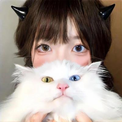 丹美的电影宇宙